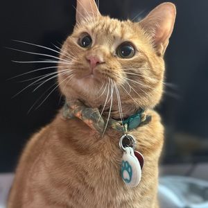 Meet your Posher, Daniela